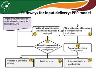 Improved functionality of
national seed systems for
scaling up & out
Improved system
productivity
Increased & equitable
income
Alternative approaches
tested to support informal
seed systems
National seed strategies
& roadmaps developed &
deployed
Strengthening of breeder
& foundation seed
production
Formal outlet chains
strengthened
Food security
Pathways for input delivery: PPP model
 