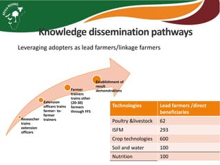 Knowledge dissemination pathways
Leveraging adopters as lead farmers/linkage farmers
Researcher
trains
extension
officers
Extension
officers trains
farmer- to-
farmer
trainers
Farmer
trainers
trains other
(20-30)
farmers
through FFS
Establishment of
result
demonstrations
Technologies Lead farmers /direct
beneficiaries
Poultry &livestock 62
ISFM 293
Crop technologies 600
Soil and water 100
Nutrition 100
 