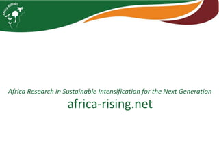Africa Research in Sustainable Intensification for the Next Generation
africa-rising.net
 