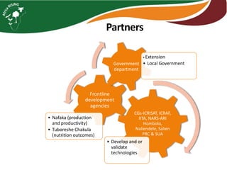 Partners
CGs-ICRISAT, ICRAF,
IITA, NARS-ARI
Hombolo,
Naliendele, Salien
PRC & SUA
• Develop and or
validate
technologies
Frontline
development
agencies
• Nafaka (production
and productivity)
• Tuboreshe Chakula
(nutrition outcomes)
Government
department
• Extension
• Local Government
 