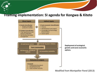 Modified from Montpellier Panel (2013)
Framing implementation: SI agenda for Kongwa & Kiteto
Deployment of ecological,
genetic and socio-economic
options
 