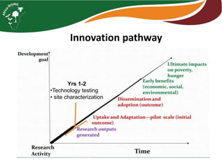 Innovation pathway
Yrs 1-2
•Technology testing
• site characterization
 