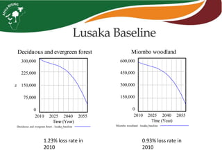 1.23% loss rate in
2010
0.93% loss rate in
2010
Deciduous and evergreen forest
300,000
225,000
150,000
75,000
0
2010 2025 2040 2055
Time (Year)
ha
Deciduous and evergreen forest : lusaka_baseline
Miombo woodland
600,000
450,000
300,000
150,000
0
2010 2025 2040 2055
Time (Year)
Miombo woodland : lusaka_baseline
Lusaka Baseline
 