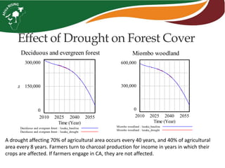 Effect of Drought on Forest Cover
A drought affecting 70% of agricultural area occurs every 40 years, and 40% of agricultural
area every 8 years. Farmers turn to charcoal production for income in years in which their
crops are affected. If farmers engage in CA, they are not affected.
Deciduous and evergreen forest
300,000
150,000
0
2010 2025 2040 2055
Time (Year)
ha
Deciduous and evergreen forest : lusaka_baseline
Deciduous and evergreen forest : lusaka_drought
Miombo woodland
600,000
300,000
0
2010 2025 2040 2055
Time (Year)
Miombo woodland : lusaka_baseline
Miombo woodland : lusaka_drought
 