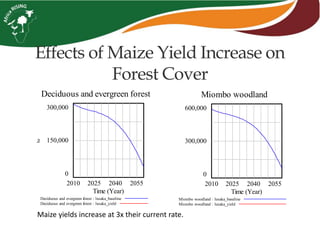 Effects of Maize Yield Increase on
Forest Cover
Maize yields increase at 3x their current rate.
Deciduous and evergreen forest
300,000
150,000
0
2010 2025 2040 2055
Time (Year)
ha
Deciduous and evergreen forest : lusaka_baseline
Deciduous and evergreen forest : lusaka_yield
Miombo woodland
600,000
300,000
0
2010 2025 2040 2055
Time (Year)
Miombo woodland : lusaka_baseline
Miombo woodland : lusaka_yield
 