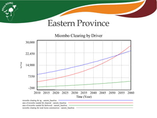 Eastern Province
Miombo Clearing by Driver
30,000
22,450
14,900
7350
-200
2010 2015 2020 2025 2030 2035 2040 2045 2050 2055 2060
Time (Year)
ha/Year
miombo clearing for ag : eastern_baseline
area of miombo needed for charcoal : eastern_baseline
area of miombo needed for fuelwood : eastern_baseline
miombo clearing for rural home construction : eastern_baseline
 