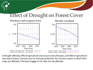 Effect of Drought on Forest Cover
A drought affecting 70% of agricultural area occurs every 40 years, and 40% of agricultural
area every 8 years. Farmers turn to charcoal production for income in years in which their
crops are affected. If farmers engage in CA, they are not affected.
Deciduous and evergreen forest
2 M
1.5 M
1 M
2010 2025 2040 2055
Time (Year)
ha
Deciduous and evergreen forest : eastern_baseline
Deciduous and evergreen forest : eastern_drought
Miombo woodland
3 M
2.5 M
2 M
2010 2025 2040 2055
Time (Year)
Miombo woodland : eastern_baseline
Miombo woodland : eastern_drought
 