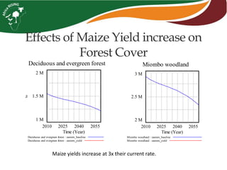 Effects of Maize Yield increase on
Forest Cover
Maize yields increase at 3x their current rate.
Deciduous and evergreen forest
2 M
1.5 M
1 M
2010 2025 2040 2055
Time (Year)
ha
Deciduous and evergreen forest : eastern_baseline
Deciduous and evergreen forest : eastern_yield
Miombo woodland
3 M
2.5 M
2 M
2010 2025 2040 2055
Time (Year)
Miombo woodland : eastern_baseline
Miombo woodland : eastern_yield
 