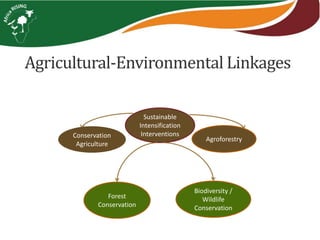 Sustainable
Intensification
Interventions
Agroforestry
Conservation
Agriculture
Forest
Conservation
Biodiversity /
Wildlife
Conservation
Agricultural-Environmental Linkages
 