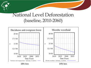 National Level Deforestation
(baseline, 2010-2060)
14% loss18% loss
Deciduous and evergreen forest
20 M
17.5 M
15 M
12.5 M
10 M
2010 2025 2040 2055
Time (Year)
ha
Deciduous and evergreen forest : landscape_v5_baseline
Miombo woodland
40 M
37.5 M
35 M
32.5 M
30 M
2010 2025 2040 2055
Time (Year)
ha
Miombo woodland : landscape_v5_baseline
 
