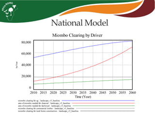 Miombo Clearing by Driver
80,000
60,000
40,000
20,000
0
2010 2015 2020 2025 2030 2035 2040 2045 2050 2055 2060
Time (Year)
ha/Year
miombo clearing for ag : landscape_v5_baseline
area of miombo needed for charcoal : landscape_v5_baseline
area of miombo needed for fuelwood : landscape_v5_baseline
miombo clearing for commercial timber : landscape_v5_baseline
miombo clearing for rural home construction : landscape_v5_baseline
National Model
 
