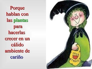 Porque hablan con las  plantas para hacerlas  crecer en un cálido ambiente de  cariño   