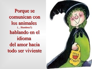 Porque  se  comunica n  con los animales  (...  Hombres? ) hablando en el idioma  del amor hacia todo ser viviente   