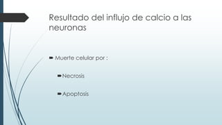 Resultado del influjo de calcio a las
neuronas
 Muerte celular por :
Necrosis
Apoptosis
 