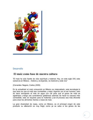 4
Desarrollo
El maíz como base de nuestra cultura
“El maíz ha sido fuente de vida espiritual y material. Hoy, en este siglo XXI, este
cereal es en México…historia y es leyenda, es tradición y está vivo”
(Cervantes Nagera, Carlos;,2009)
En la actualidad el maíz consumido en México es nixtamaliado, esta tecnología lo
que hace es que el maíz sea comestible y mejor digerido por el ser humano, esto
se hace remojando el más en agua con cal para que el grano de maíz se
aglutinase y tenga una consistencia gelatinosa además de hacer la cascara más
comestible, esto se requiere para la molienda y así él proceso sea más eficiente
para crear los alimentos hechos a base de maíz.
La gran diversidad de razas, como en México, es el principal origen de este
producto su alteración es muy frágil, como ya se sabe si los genes de las
 