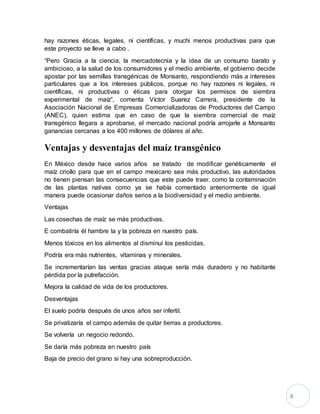 6
hay razones éticas, legales, ni científicas, y muchi menos productivas para que
este proyecto se lleve a cabo .
“Pero Gracia a la ciencia, la mercadotecnia y la idea de un consumo barato y
ambicioso, a la salud de los consumidores y el medio ambiente, el gobierno decide
apostar por las semillas transgénicas de Monsanto, respondiendo más a intereses
particulares que a los intereses públicos, porque no hay razones ni legales, ni
científicas, ni productivas o éticas para otorgar los permisos de siembra
experimental de maíz”, comenta Víctor Suarez Carrera, presidente de la
Asociación Nacional de Empresas Comercializadoras de Productores del Campo
(ANEC), quien estima que en caso de que la siembra comercial de maíz
transgénico llegara a aprobarse, el mercado nacional podría arrojarle a Monsanto
ganancias cercanas a los 400 millones de dólares al año.
Ventajas y desventajas del maíz transgénico
En México desde hace varios años se tratado de modificar genéticamente el
maíz criollo para que en el campo mexicano sea más productivo, las autoridades
no tienen piensan las consecuencias que este puede traer, como la contaminación
de las plantas nativas como ya se había comentado anteriormente de igual
manera puede ocasionar daños serios a la biodiversidad y el medio ambiente.
Ventajas
Las cosechas de maíz se más productivas.
E combatiría él hambre la y la pobreza en nuestro país.
Menos tóxicos en los alimentos al disminuí los pesticidas.
Podría era más nutrientes, vitaminas y minerales.
Se incrementarían las ventas gracias ataque sería más duradero y no habitante
pérdida por la putrefacción.
Mejora la calidad de vida de los productores.
Desventajas
El suelo podría después de unos años ser infertil.
Se privatizaría el campo además de quitar tierras a productores.
Se volvería un negocio redondo.
Se daría más pobreza en nuestro país
Baja de precio del grano si hay una sobreproducción.
 