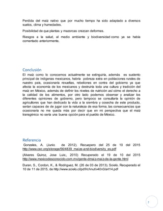7
Perdida del maíz nativo que por mucho tiempo ha sido adaptado a diversos
suelos, clima y humedades.
Posibilidad de que plantas y mazorcas crezcan deformes.
Riesgos a la salud, al medio ambiente y biodiversidad como ya se había
comentado anteriormente.
Conclusión
El maíz como lo conocemos actualmente se extinguiría, además es sustento
principal de indigenas mexicanos, habría pobreza extra en poblaciones rurales de
nuestro país, ocasionaría revueltas, rebeliones en contra del gobierno ya que
afecta la economía de los mexicanos y destruiría toda una cultura y tradición del
maíz en México, además de definir los niveles de nutrición así cómo el derecho a
la calidad de los alimentos, por otro lado podemos observar y analizar los
diferentes opiniones de gobierno, pero tampoco se consultaría la opinión de
agricultores que han dedicado la vida a la siembra y cosecha de este producto,
serían capaces de de jugar con la naturaleza de esa forma, las consecuencias que
ocasionaría no me queda más por decir que en mi perspectiva que el maíz
transgénico no sería una buena opción para el pueblo de México.
Referencia
Gonzales, A. (Junio de 2012). Recuepero del 25 de 10 del 2015
http://www.cec.org/storage/56/4839_maize-and-biodiversity_es.pdf
(Alvares Quiroz, Jose Luis;, 2010) Recuperado el 19 de 10 del 2015
http://www.mexicodesconocido.com.mx/gente-dmaiz-maiz-de-la-gente.html
Duran, S., Cordon, K., & Rodriguez, M. (26 de 03 de 2013). Scielo. Recuperado el
10 de 11 de 2015, de http://www.scielo.cl/pdf/rchnut/v40n3/art14.pdf
 