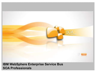 IBM WebSphereEnterprise Service Bus SOA Professionals 