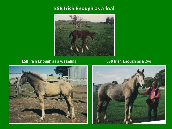esb-irish-enough