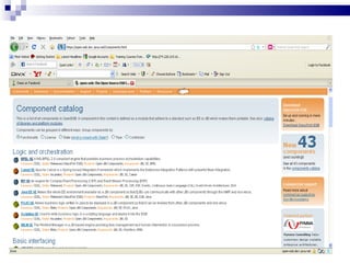 JBI-based
Infrastructure
                  BPEL     JavaEE   XSLT



                            NMR

                 WS-I BP    JMS      File
 