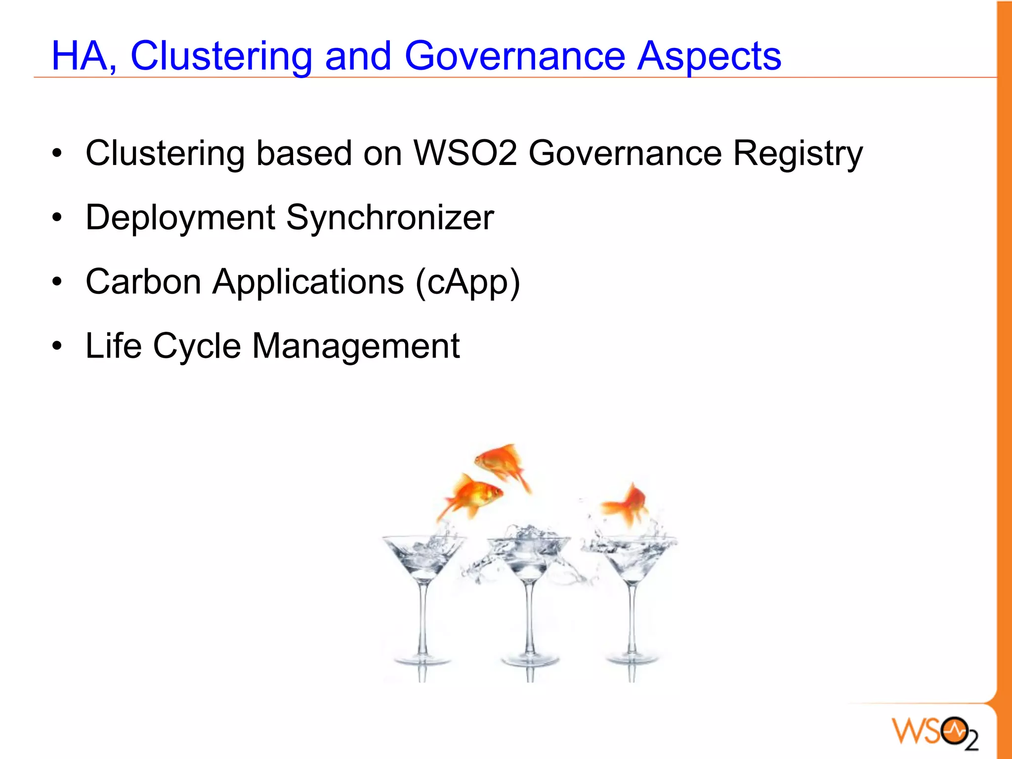 HA, Clustering and Governance Aspects

• Clustering based on WSO2 Governance Registry
• Deployment Synchronizer
• Carbon Applications (cApp)
• Life Cycle Management
 