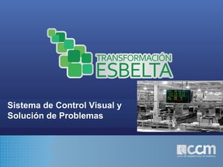 Sistema de Control Visual y
Solución de Problemas
 