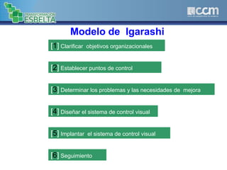 [1] Clarificar objetivos organizacionales
[2] Establecer puntos de control
[3] Determinar los problemas y las necesidades de mejora
[4] Diseñar el sistema de control visual
[5] Implantar el sistema de control visual
[6] Seguimiento
Modelo de Igarashi
 