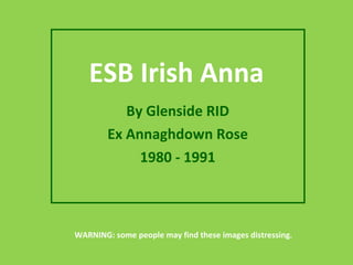 ESB Irish Anna By Glenside RID Ex Annaghdown Rose 1980 - 1991 WARNING: some people may find these images distressing. 