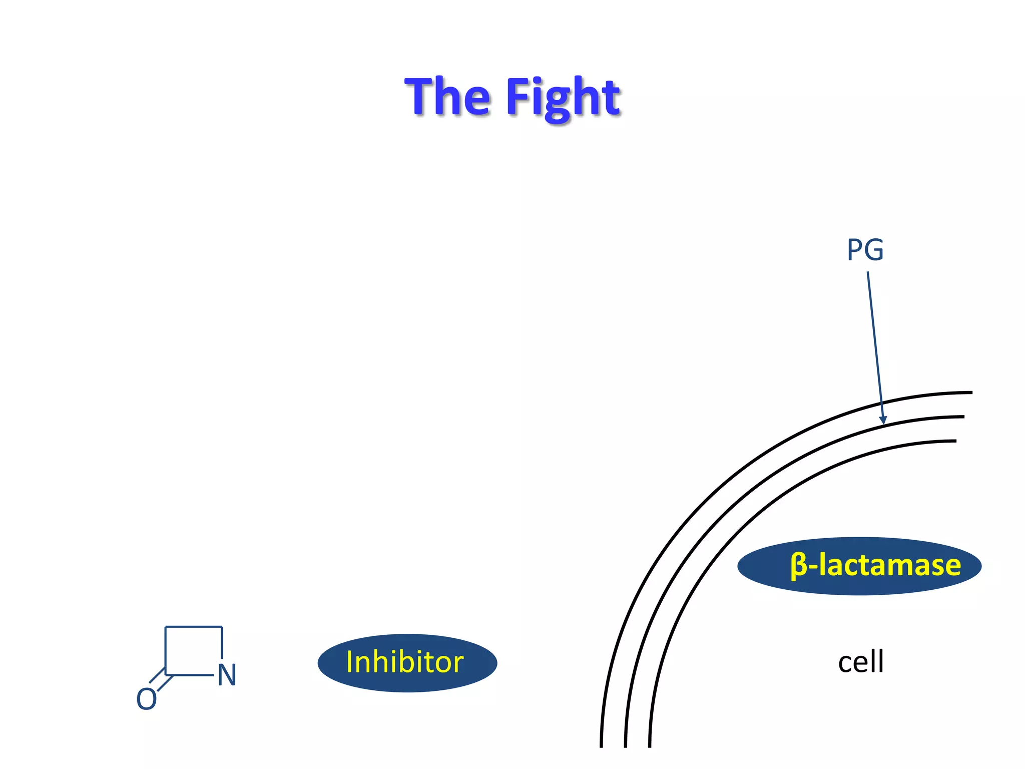 The Fight
PG

β-lactamase

O

N

Inhibitor

cell

 