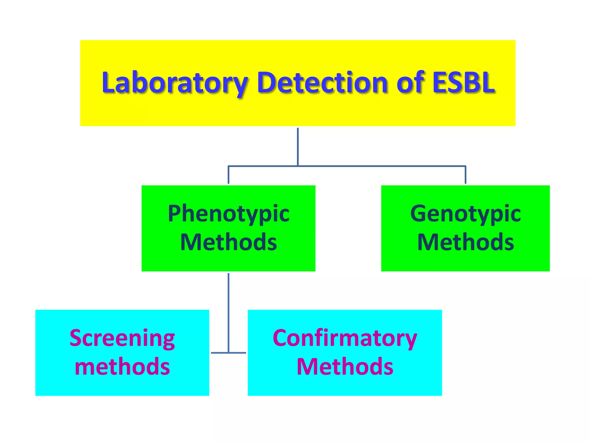 Laboratory Detection of ESBL

Phenotypic
Methods

Screening
methods

Genotypic
Methods

Confirmatory
Methods

 