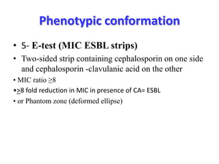 Esbl | PPTX