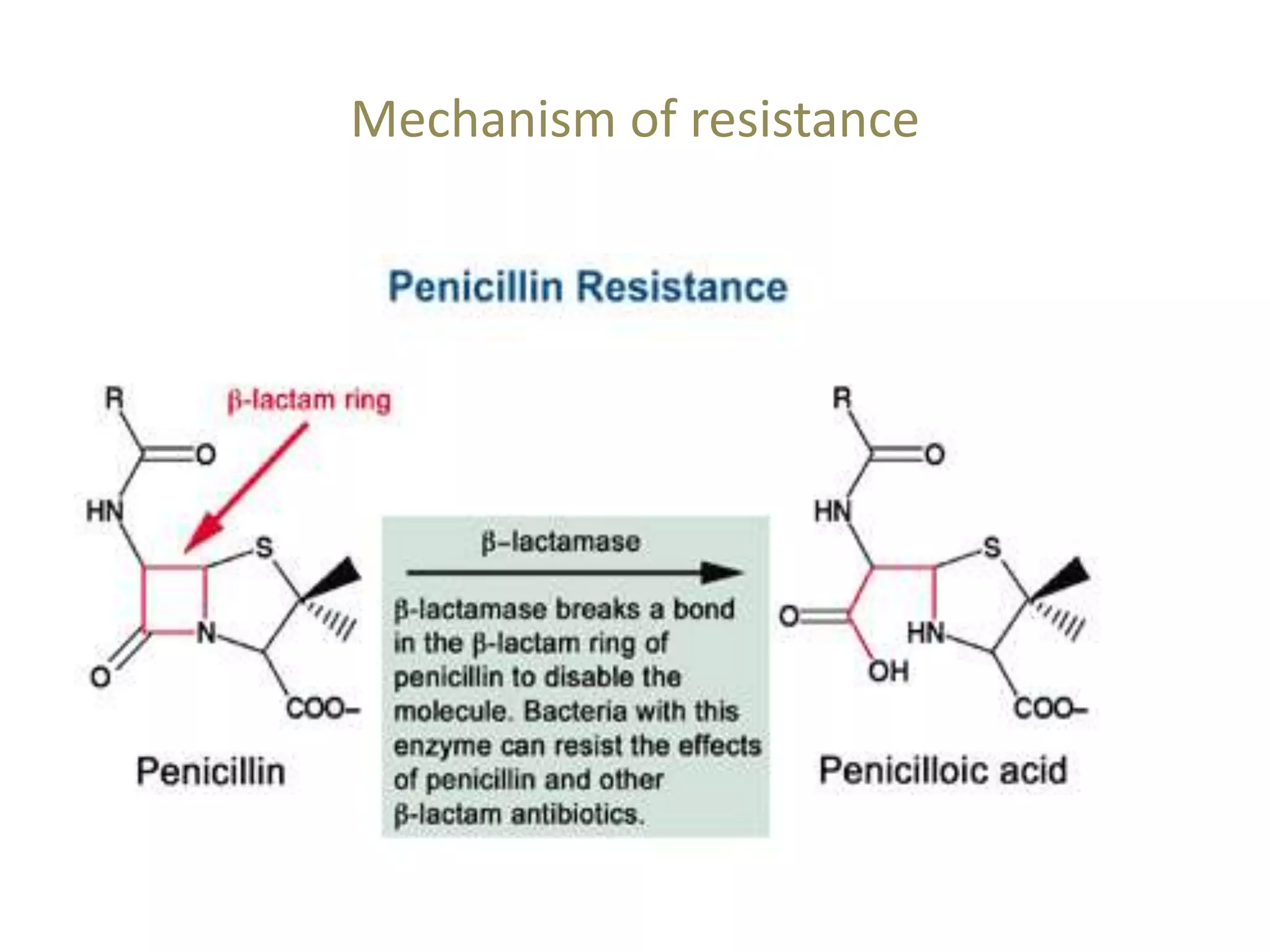 Mechanism of resistance
 