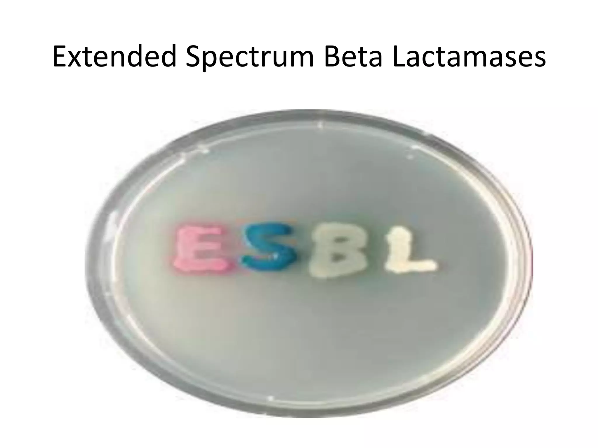 Extended Spectrum Beta Lactamases
 