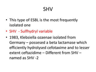 Esbl Types beta lactamases | PPTX