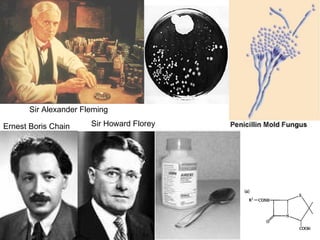 Sir Alexander Fleming Ernest Boris Chain Sir Howard Florey 