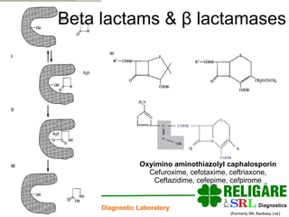 Beta lactams &  β  lactamases Oxyimino aminothiazolyl caphalosporin Cefuroxime, cefotaxime, ceftriaxone, Ceftazidime, cefepime, cefpirome 