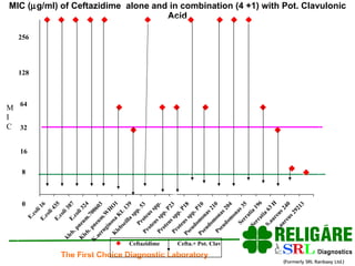 MIC (  g/ml) of Ceftazidime  alone and in combination (4 +1) with Pot. Clavulonic Acid MIC E.coli 16 E.coli 435 E.coli 387 E.coli 324 kleb. pneum.700603 Kleb. pneum.WHO1 K.aeruginosa KL 139 Klebseilla spp. 53 Proteus spp.  Proteus spp. P23 Proteus spp. P18 Proteus spp. P10 Pseudomonas 210 Pseudomonas 204 Pseudomonas 35 Serratia 196 Serratia 63 H S.aureus 240 S.aureus 29213 Ceftazidime Cefta.+ Pot. Clav 32 8 16 0 64 128 256 