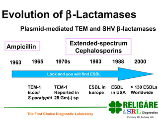 Plasmid-mediated TEM and SHV   -lactamases Ampicillin 1965 TEM-1 E.coli S.paratyphi 1970s TEM-1 Reported in  28 Gm(-) sp 1983 ESBL in  Europe 1988 ESBL  in USA 2000 > 130 ESBLs Worldwide Extended-spectrum Cephalosporins 1963 Evolution of   -Lactamases Look and you will find ESBL 