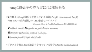 ESBL産生菌, AmpC過剰産生菌まとめ | PPTX