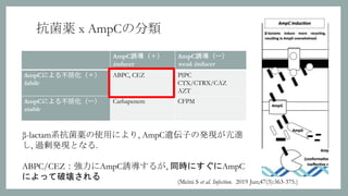 ESBL産生菌, AmpC過剰産生菌まとめ | PPTX