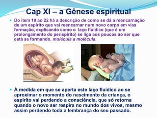 Cap XI – a Gênese espiritual
 Do item 18 ao 22 há a descrição de como se dá a reencarnação
de um espírito que vai reencarnar num novo corpo em vias
formação, explicando como o laço fluídico (que é um
prolongamento do perispírito) se liga aos poucos ao ser que
está se formando, molécula a molécula.
 À medida em que se aperta este laço fluídico ao se
aproximar o momento do nascimento da criança, o
espírito vai perdendo a consciência, que só retorna
quando o novo ser respira no mundo dos vivos, mesmo
assim perdendo toda a lembrança do seu passado.
 