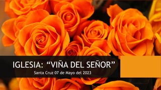 IGLESIA: “VIÑA DEL SEÑOR”
Santa Cruz 07 de Mayo del 2023
 