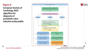 ESC 2023 Official slide set_Endocarditis_Final_28092023_web protected.pptx