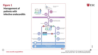ESC 2023 Official slide set_Endocarditis_Final_28092023_web protected.pptx
