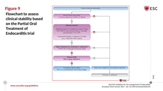 ESC 2023 Official slide set_Endocarditis_Final_28092023_web protected.pptx