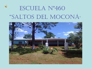 Escuela Nº460  “ Saltos del moconá ” 