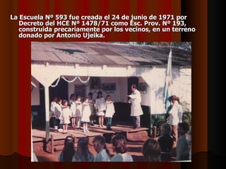 La Escuela Nº 593 fue creada el 24 de junio de 1971 por Decreto del HCE Nº 1478/71 como Esc. Prov. Nº 193, construida precariamente por los vecinos, en un terreno donado por Antonio Ujeika. 