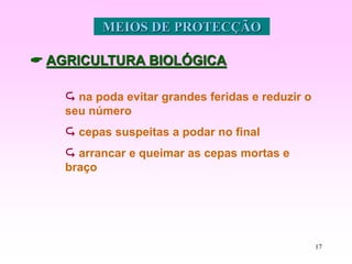 17
MEIOS DE PROTECÇÃO
 AGRICULTURA BIOLÓGICA
 na poda evitar grandes feridas e reduzir o
seu número
 cepas suspeitas a podar no final
 arrancar e queimar as cepas mortas e
braço
 
