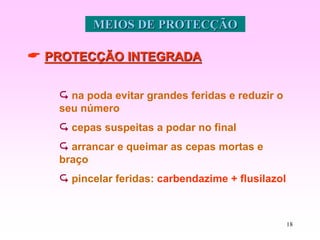 18
MEIOS DE PROTECÇÃO
 PROTECÇÃO INTEGRADA
 na poda evitar grandes feridas e reduzir o
seu número
 cepas suspeitas a podar no final
 arrancar e queimar as cepas mortas e
braço
 pincelar feridas: carbendazime + flusilazol
 