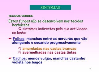 7
SINTOMAS
TECIDOS VERDES
Estes fungos não se desenvolvem nos tecidos
herbáceos
 sintomas indirectos pela sua actividade
no lenho
 Folhas: manchas entre as nervuras que vão
alongando e secando progressivamente
 amareladas nas castas brancas
 avermelhadas nas castas tintas
 Cachos: menos vulgar, manchas castanho
violeta nos bagos
 